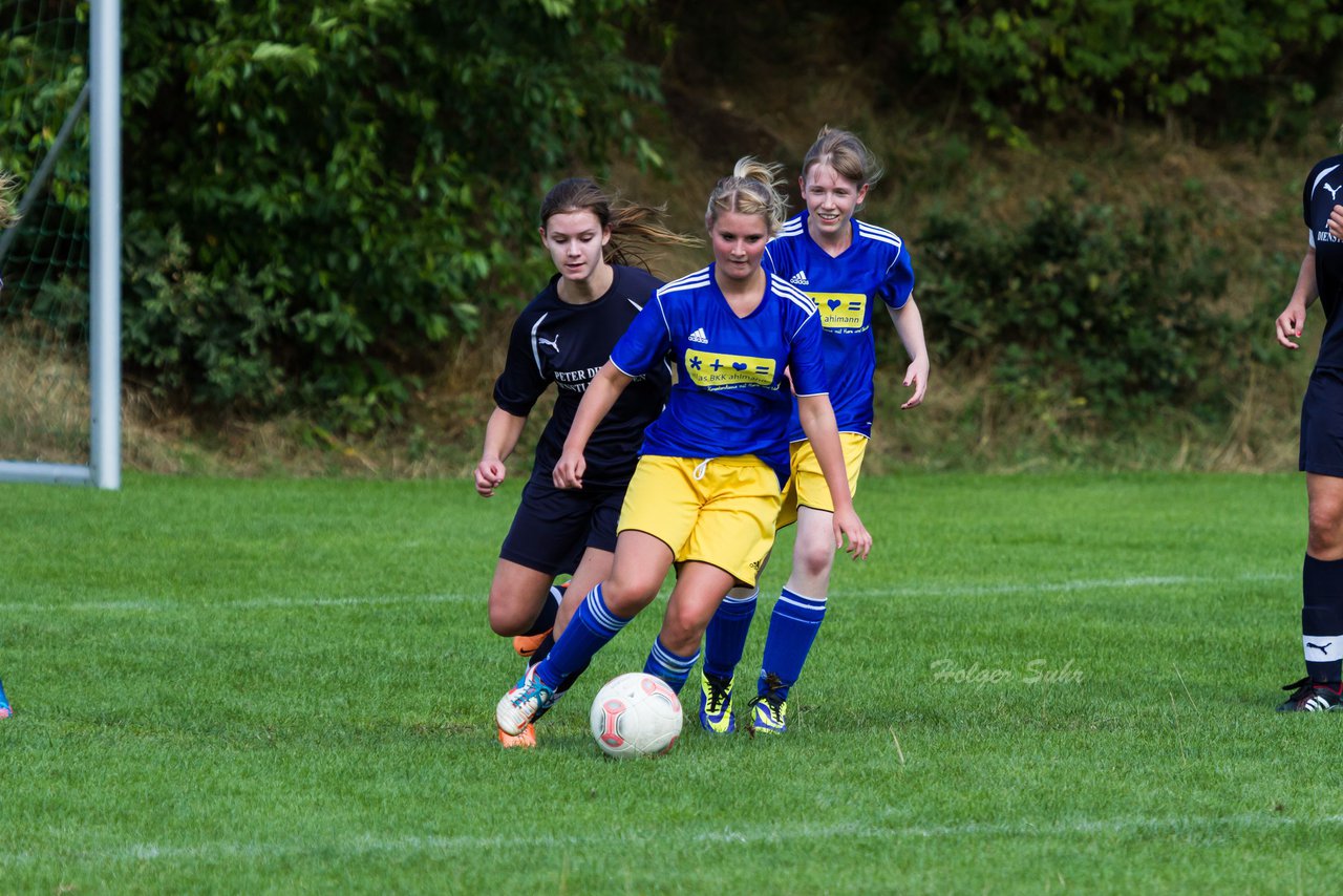 Bild 218 - Frauen TSV Gnutz - SG Slfeld/Oe/Se/Stu : Ergebnis: 2:3